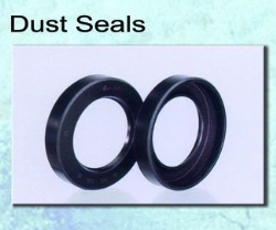 dust seal